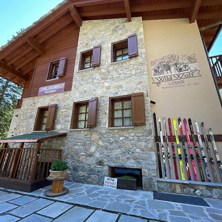 Wildhomes Wild Wolf Lodge Courmayeur Exteriör bild