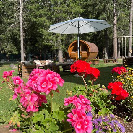 Wildhomes Wild Wolf Lodge Courmayeur Exteriör bild