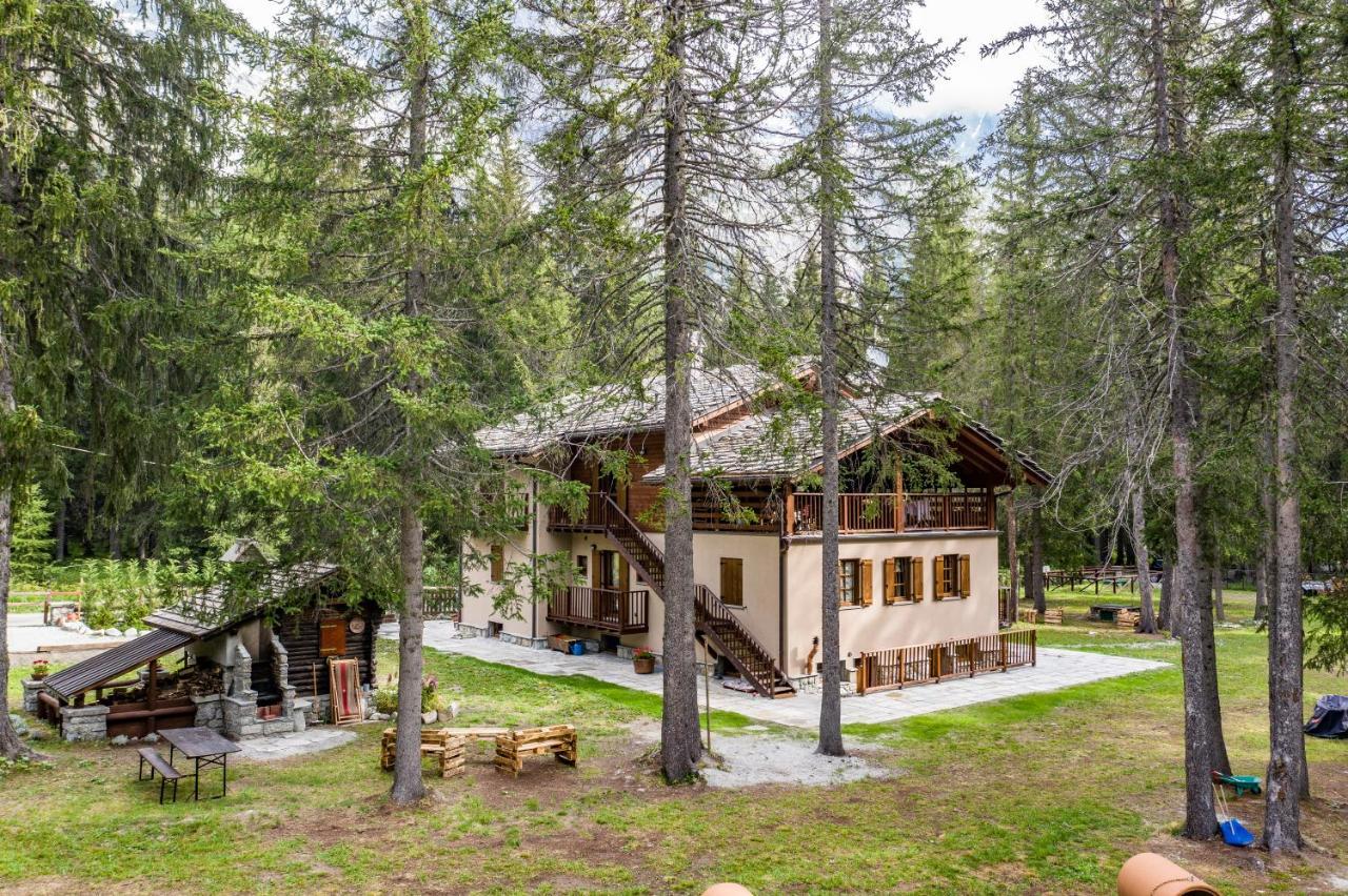 Wildhomes Wild Wolf Lodge Courmayeur Exteriör bild