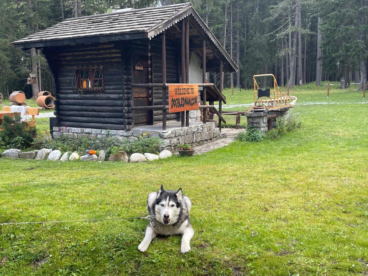 Wildhomes Wild Wolf Lodge Courmayeur Exteriör bild