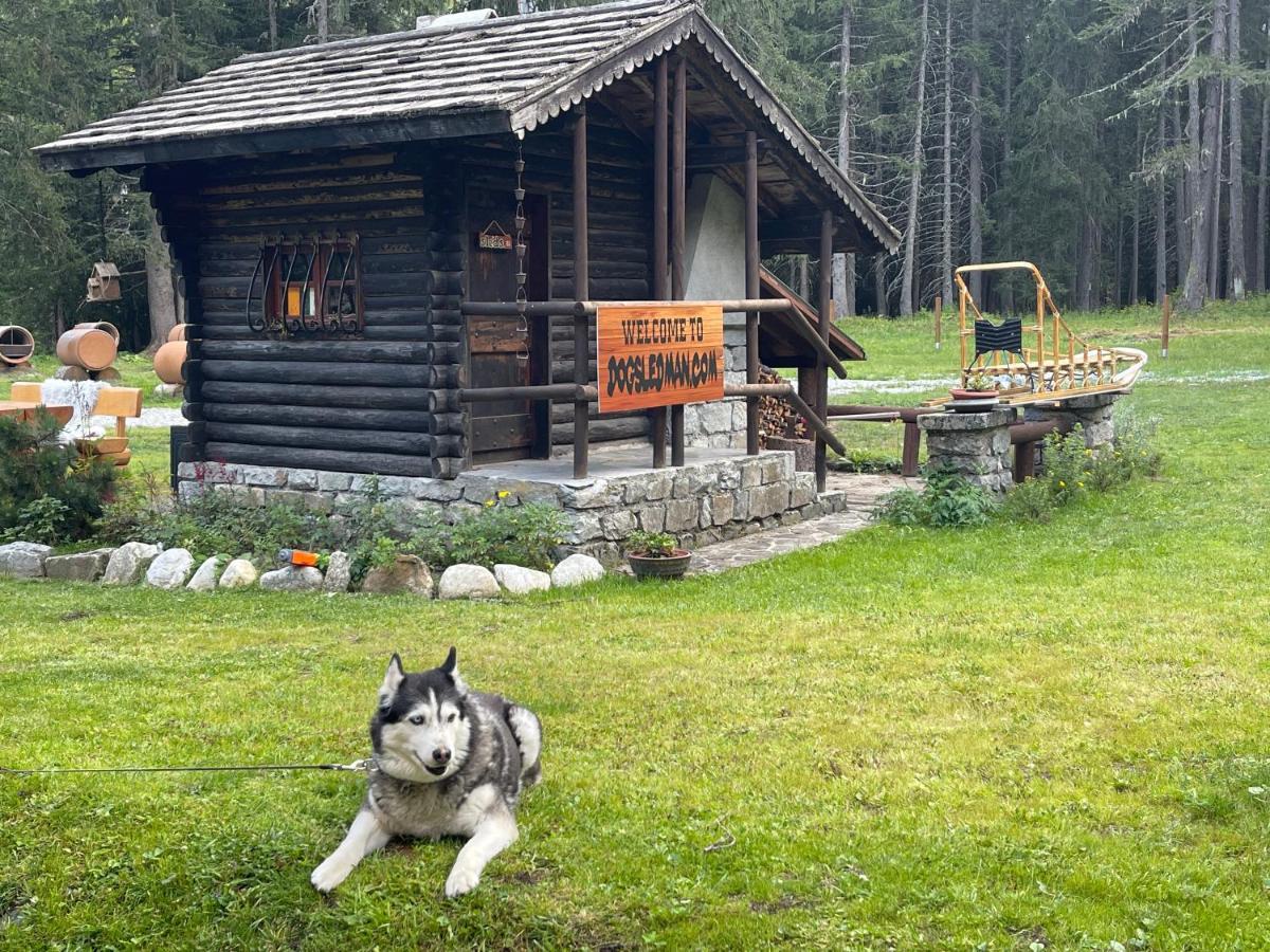 Wildhomes Wild Wolf Lodge Courmayeur Exteriör bild