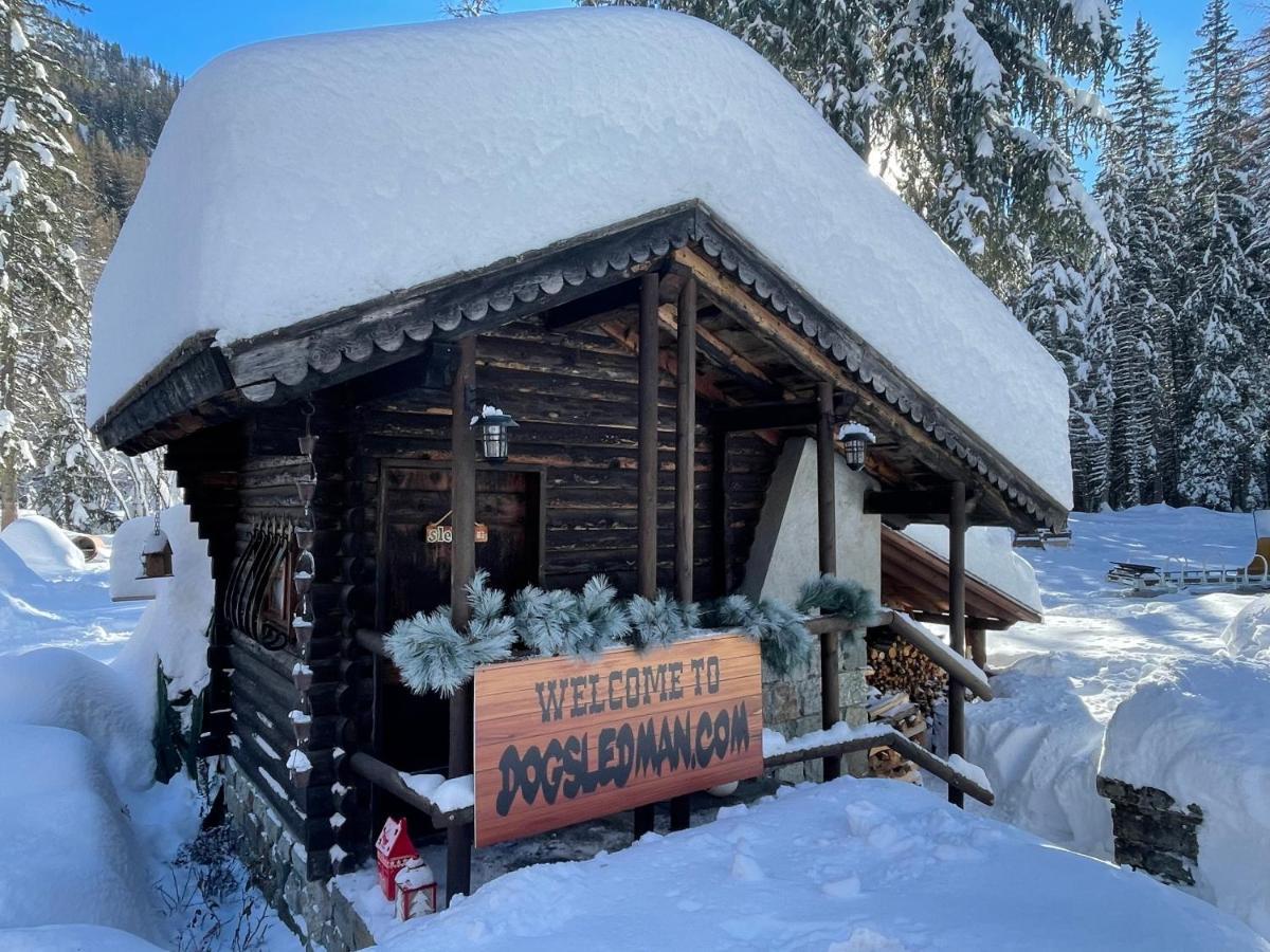 Wildhomes Wild Wolf Lodge Courmayeur Exteriör bild