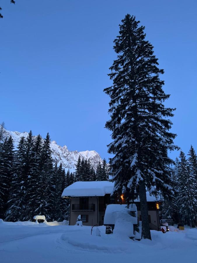 Wildhomes Wild Wolf Lodge Courmayeur Exteriör bild