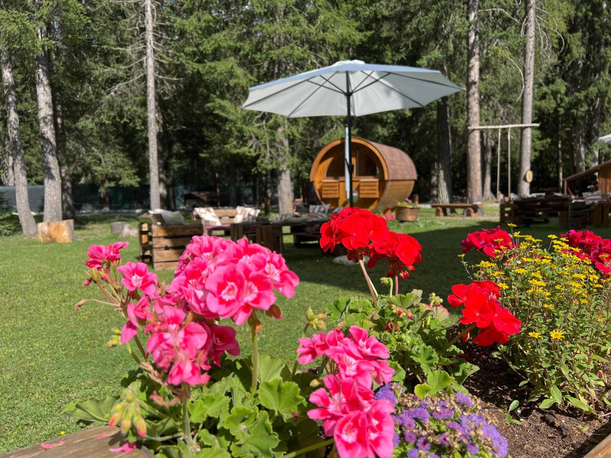 Wildhomes Wild Wolf Lodge Courmayeur Exteriör bild
