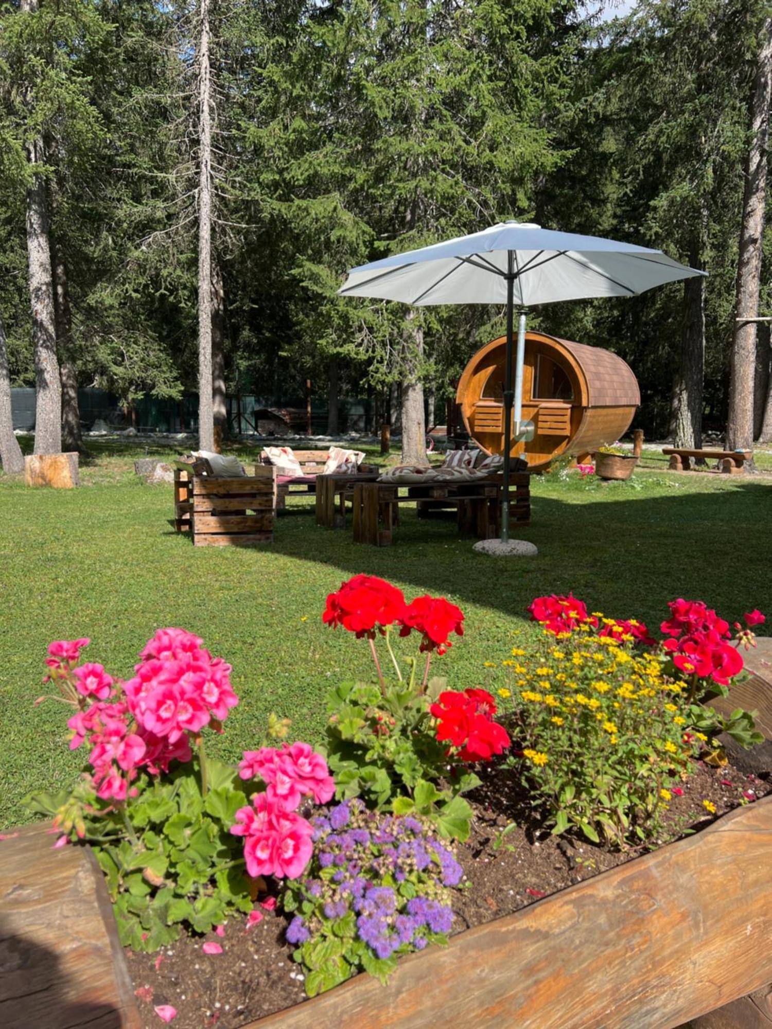Wildhomes Wild Wolf Lodge Courmayeur Exteriör bild